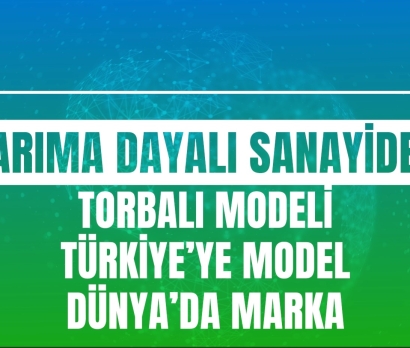 Tarıma Dayalı Sanayide, Torbalı Modeli